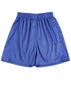 Picture of Winning Spirit Adults' Soccer Shorts SS25